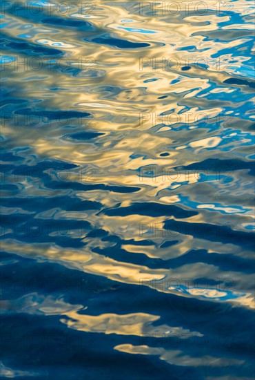 Water surface. Walden Pond, Concord, Massachusetts.