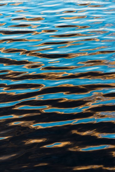 Water surface. Walden Pond, Concord, Massachusetts.