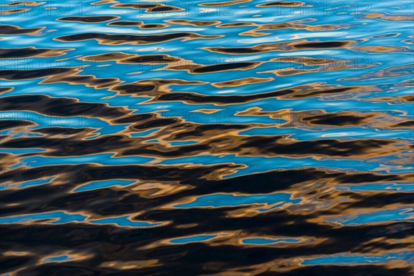 Water surface. Walden Pond, Concord, Massachusetts.