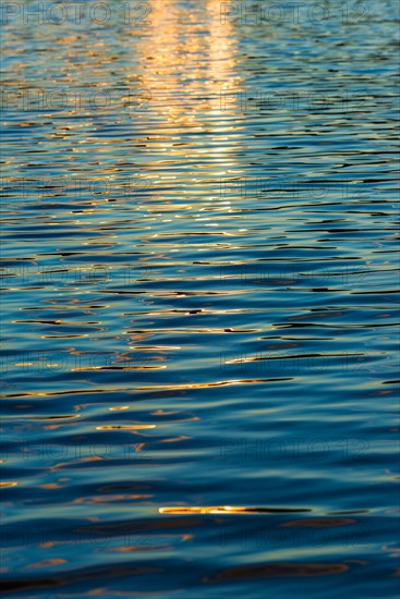 Water surface. Walden Pond, Concord, Massachusetts.