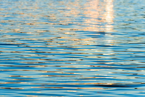 Water surface. Walden Pond, Concord, Massachusetts.