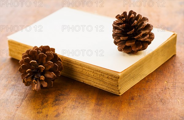 Antique book and pine cones.