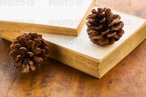 Antique book and pine cones.