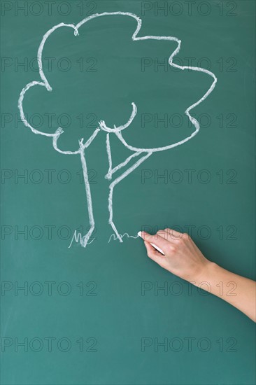 Woman drawing tree on blackboard.