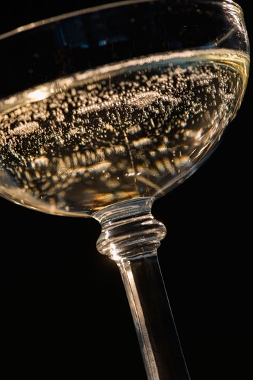 Studio shot of champagne in champagne coupe