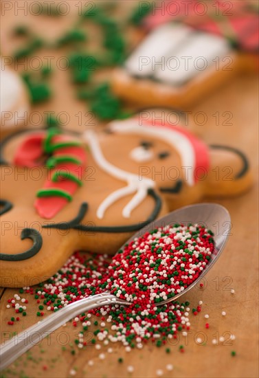 Teddy bear gingerbread and spoon on sprinkles