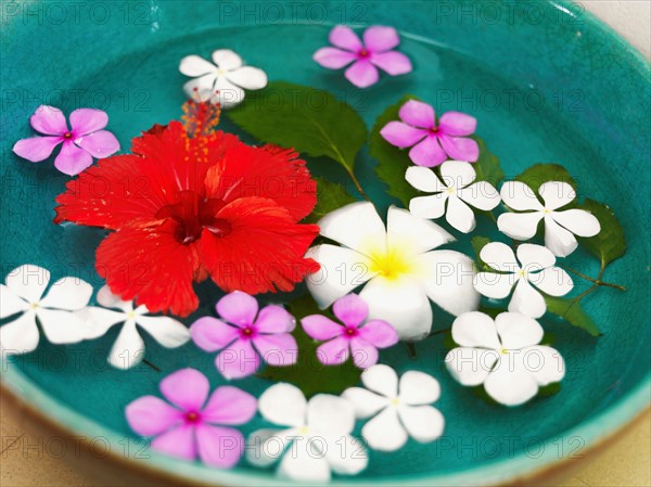 Bowl with floating flower heads