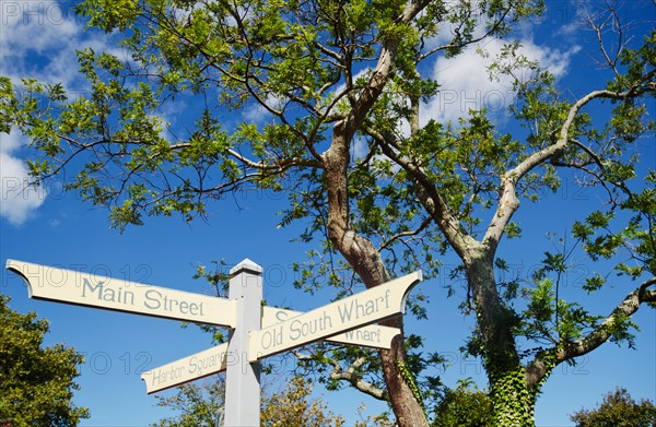 Low angle view of direction signs