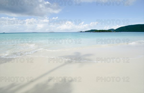 Shadow of palm trees on sandy beach