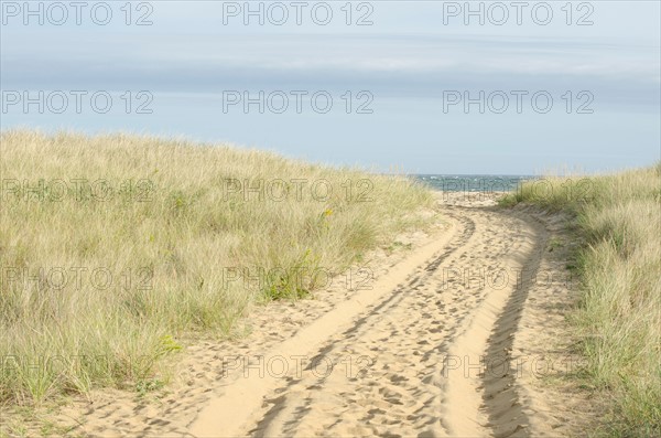 Path with tyre track