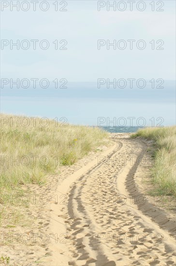 Path with tyre track