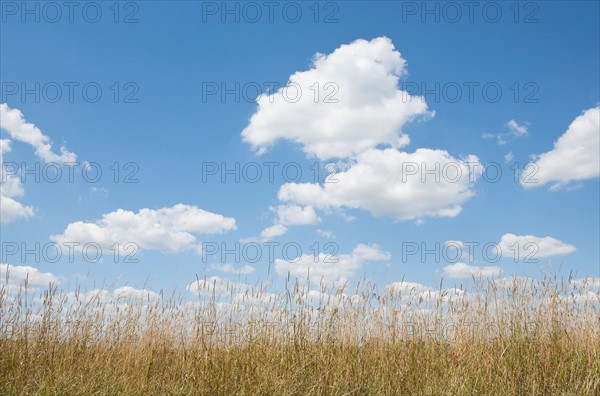 Clouds over meadow