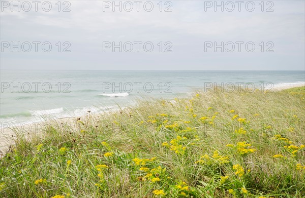 View of sandy beach