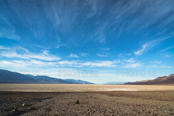 Desert landscape