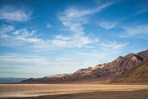 Desert landscape