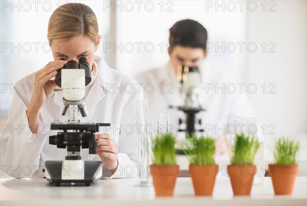 Scientists doing research on microscopes.