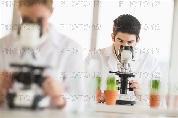 Scientists doing research on microscopes.