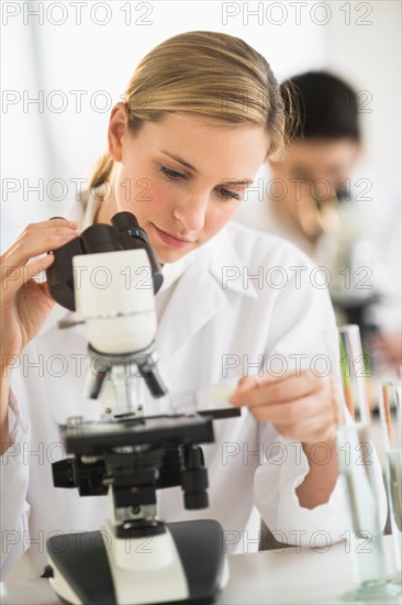 Scientists doing research on microscopes.