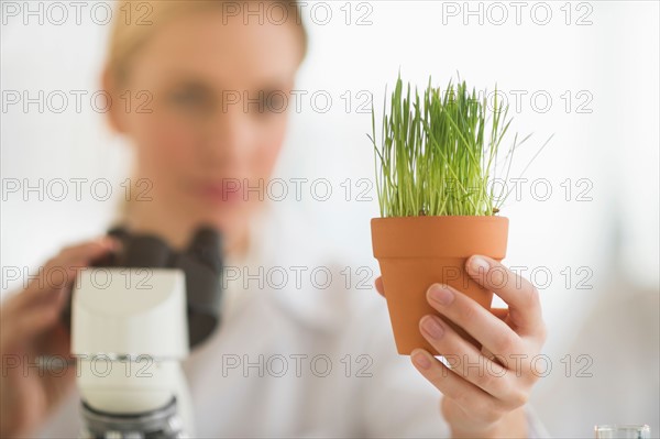 Scientist examining wheatgrass.
