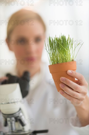 Scientist examining wheatgrass.