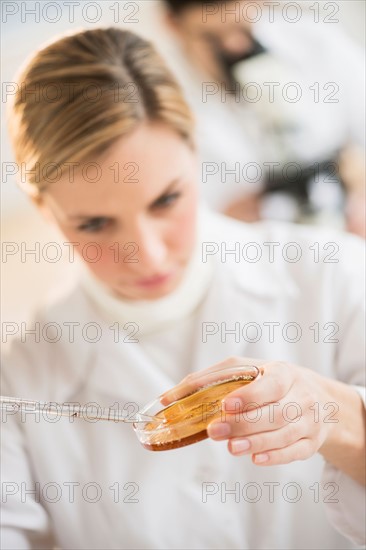 Scientist using pipette and petri dish.