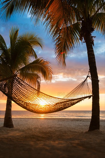 Hammock on beach at sunset. Jamaica.