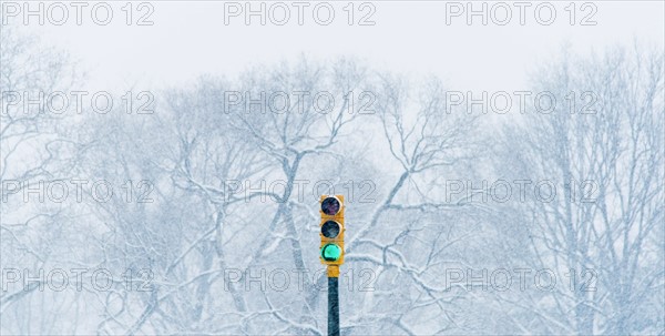 Green stoplight with winter trees in background. USA, New York State, New York.