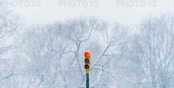 Red stoplight with winter trees in background. USA, New York State, New York.