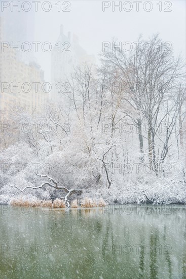 Central Park, The Pond in winter. USA, New York State, New York.