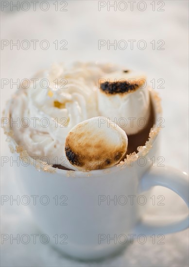 Hot chocolate with whipped cream