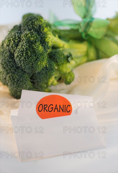 Studio Shot of organic broccoli