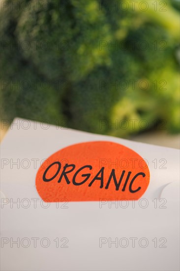 Studio Shot of organic broccoli