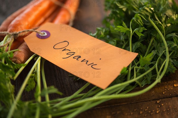 Studio Shot of organic carrots