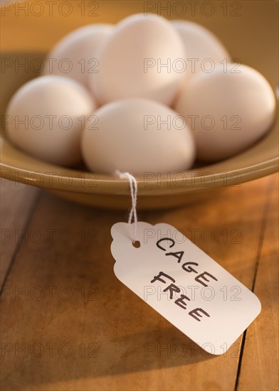 Studio Shot of eggs in bowl