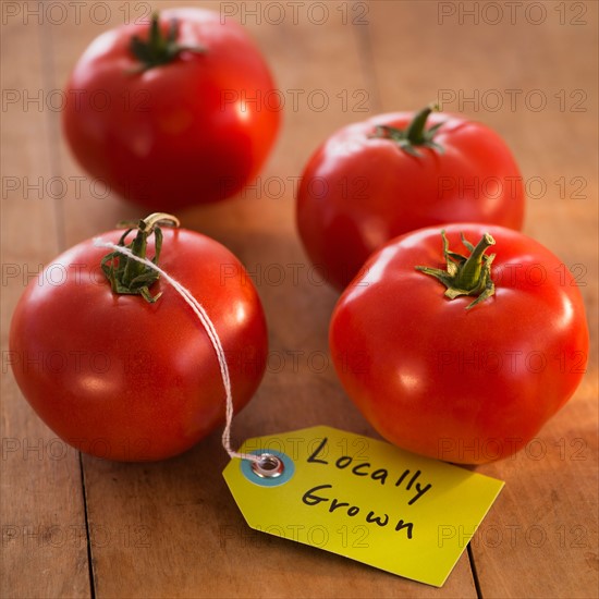 Studio Shot of tomatoes