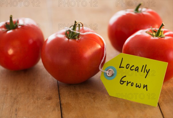Studio Shot of tomatoes