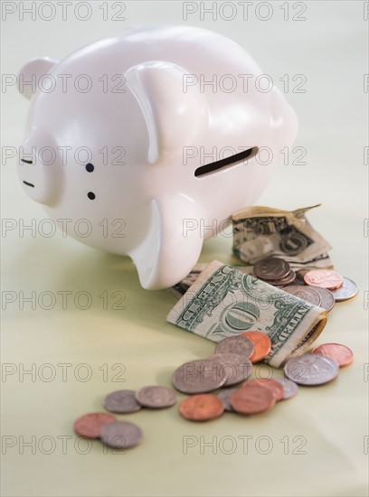 Studio Shot of piggy bank and money