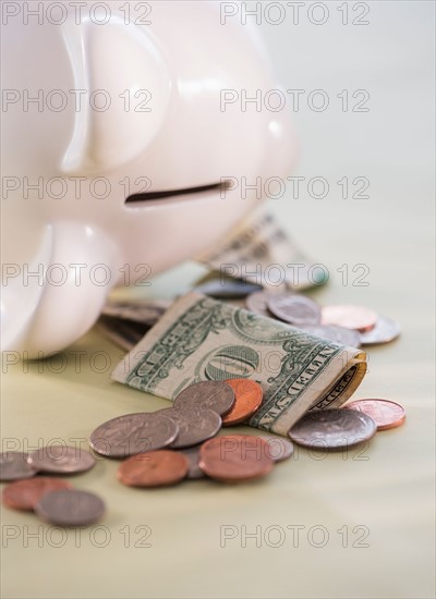 Studio Shot of piggy bank and money