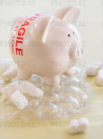 Studio Shot of piggy bank