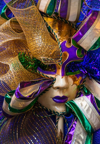 Mardi Gras mask