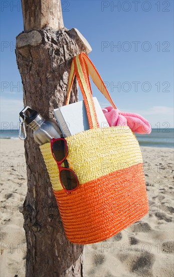 Bag hanging on tree trunk at sandy beach