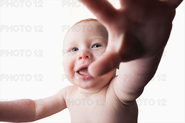 Studio shot of baby boy (18-23 months) reaching camera