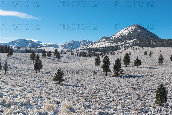 Eastern Sierra scene
