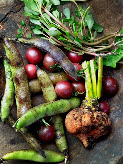 Fresh vegetables on table