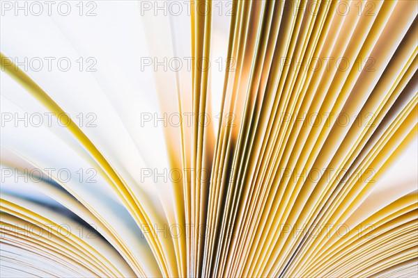 Book pages in motion.