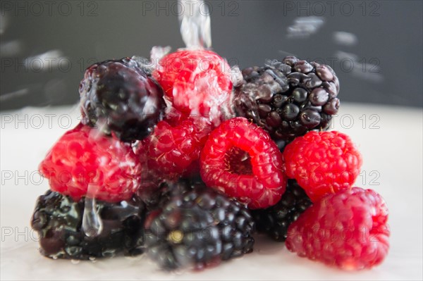 Close up of berries under water splash, studio shot