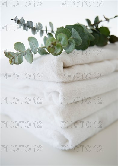 Studio Shot of folded towels and eucalyptus on top