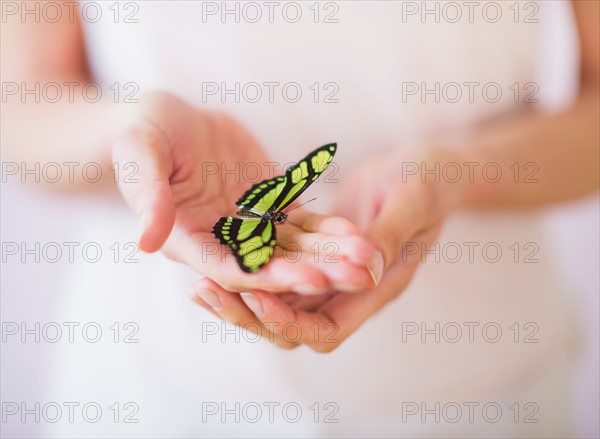 Studio Shot of woman's hands holding butterfly