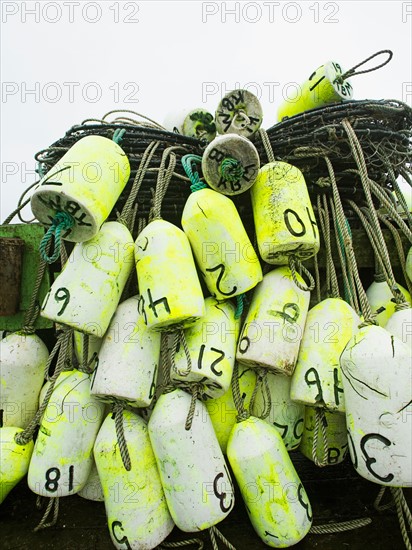 Stack of nets