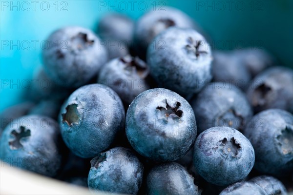 Studio Shot of blueberries